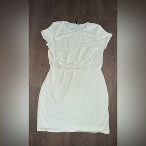 Express double lined dress size large